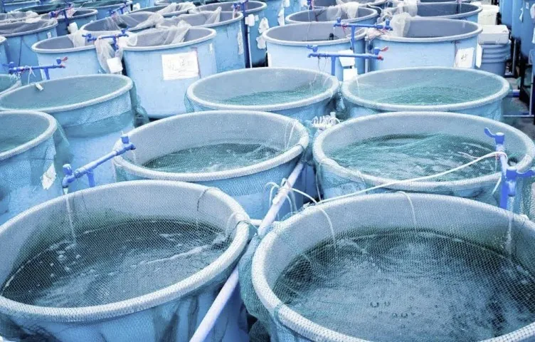 Aquaculture monitoring – recirculating aquaculture system tanks