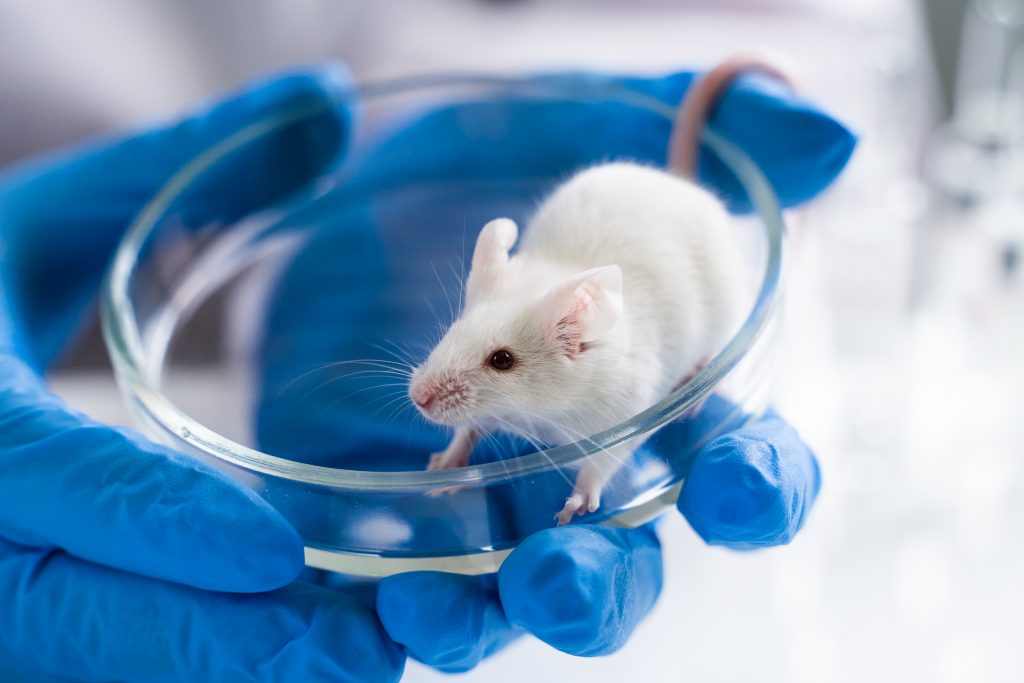 Testing,Drugs,And,Vaccine,On,Mice.,Concept,-,Laboratory,Animals,